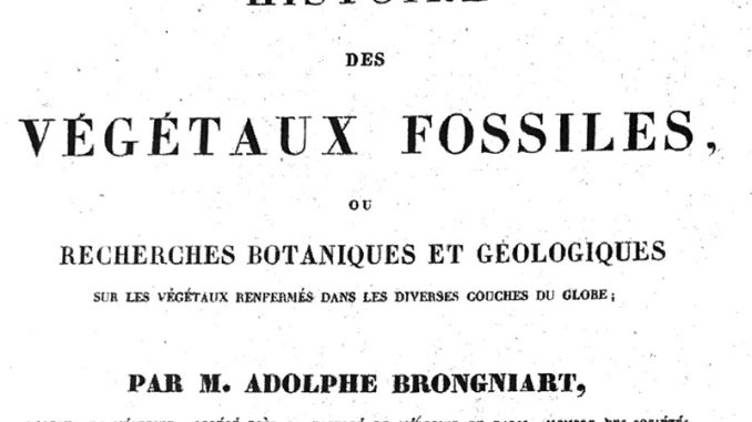 Brogniart, Histoire des végétaux fossiles.